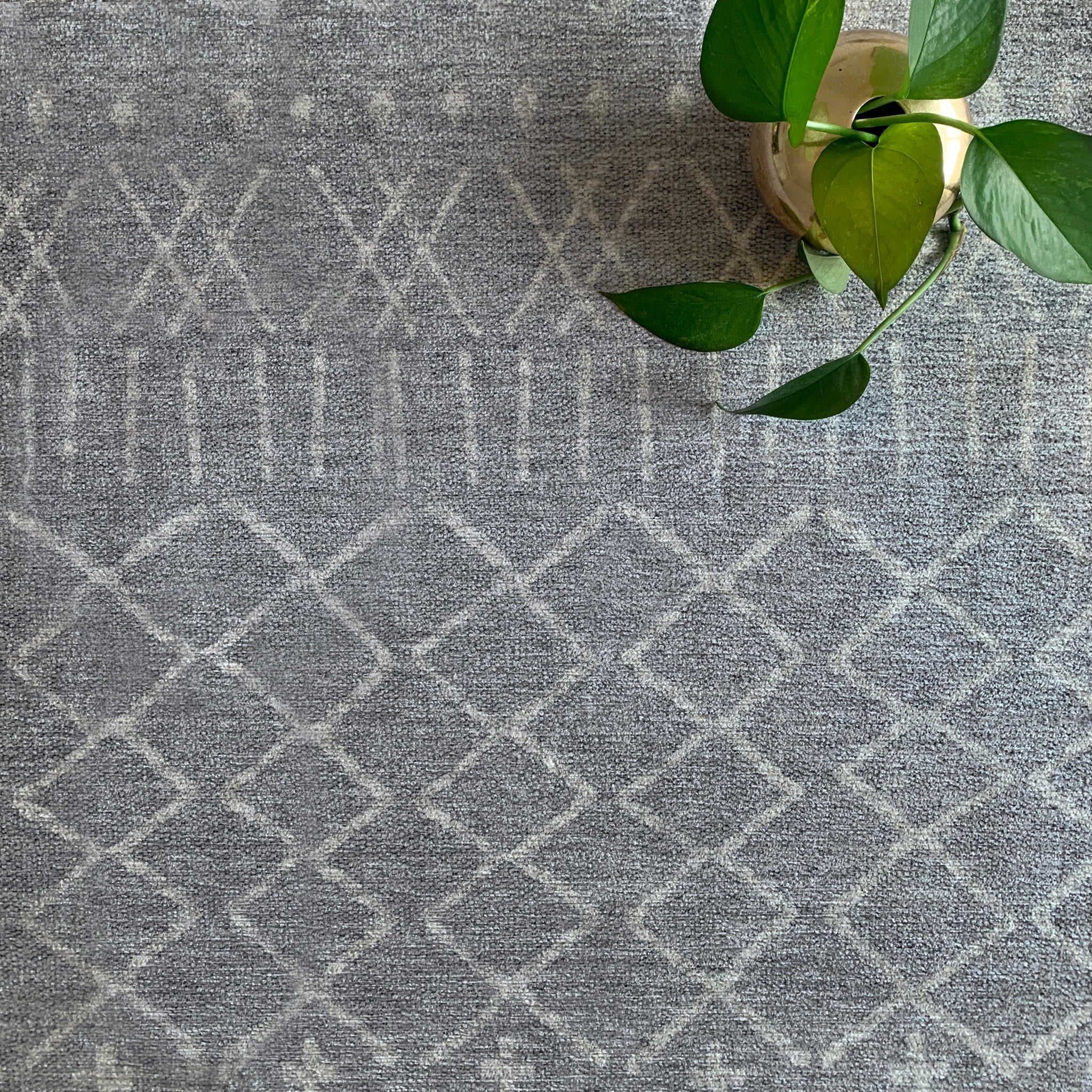 Canyon - Grey/Ivory - Image 12